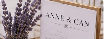 Anne and Can event display